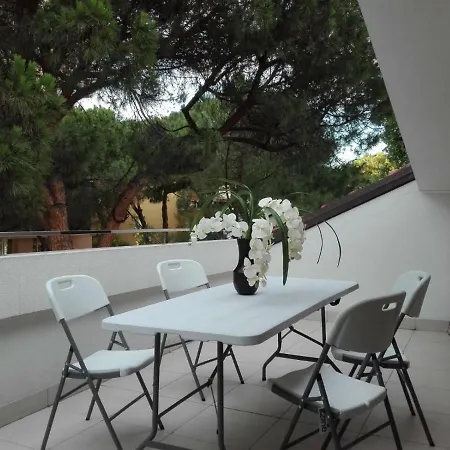 Apartment Appartamento/attico/mansarda *