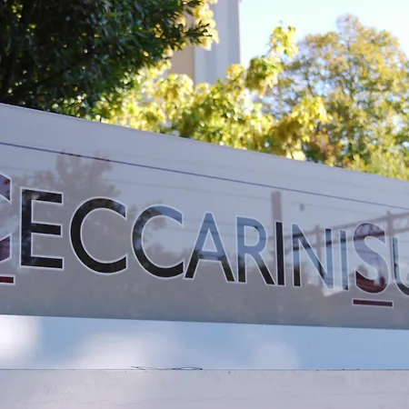 Ceccarini Aparthotel 2*