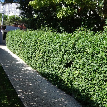 Ceccarini 2*