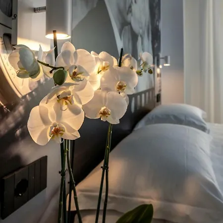 Aparthotel Filmare Riccione